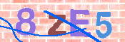 この文字を入力してください