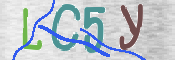 この文字を入力してください