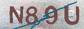 この文字を入力してください