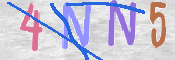 この文字を入力してください