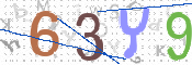 この文字を入力してください