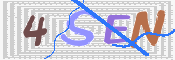 この文字を入力してください