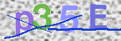 この文字を入力してください