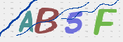 この文字を入力してください