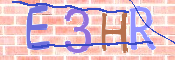 この文字を入力してください