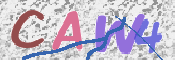 この文字を入力してください