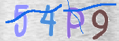 この文字を入力してください