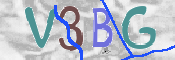 この文字を入力してください
