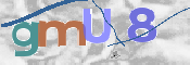 この文字を入力してください