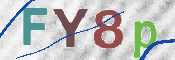 この文字を入力してください
