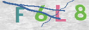 この文字を入力してください