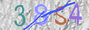 この文字を入力してください