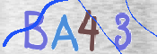この文字を入力してください