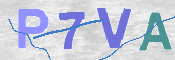 この文字を入力してください