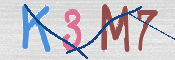 この文字を入力してください