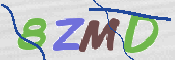 この文字を入力してください