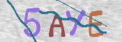 この文字を入力してください