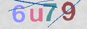 この文字を入力してください