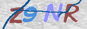 この文字を入力してください