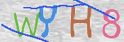 この文字を入力してください