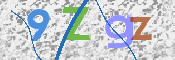 この文字を入力してください
