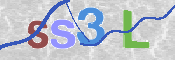 この文字を入力してください