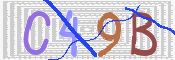 この文字を入力してください