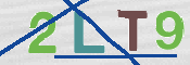 この文字を入力してください