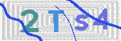 この文字を入力してください