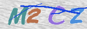 この文字を入力してください