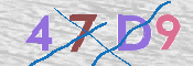 この文字を入力してください