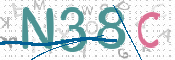 この文字を入力してください