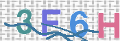 この文字を入力してください