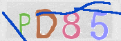 この文字を入力してください
