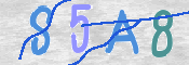 この文字を入力してください