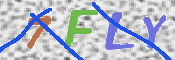 この文字を入力してください