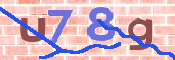 この文字を入力してください