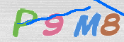 この文字を入力してください