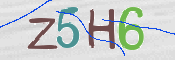 この文字を入力してください