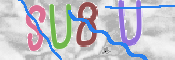 この文字を入力してください