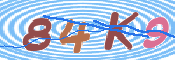 この文字を入力してください