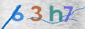 この文字を入力してください