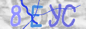 この文字を入力してください