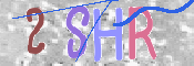 この文字を入力してください