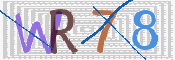 この文字を入力してください