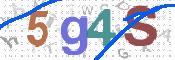 この文字を入力してください