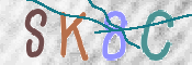 この文字を入力してください