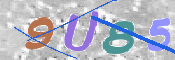 この文字を入力してください