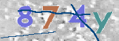 この文字を入力してください
