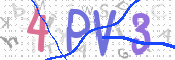 この文字を入力してください